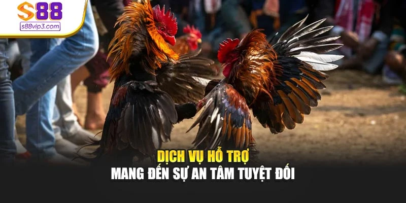 Dịch vụ hỗ trợ mang đến sự an tâm tuyệt đối