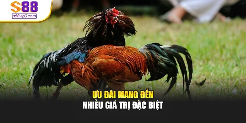 Ưu đãi mang đến nhiều giá trị đặc biệt