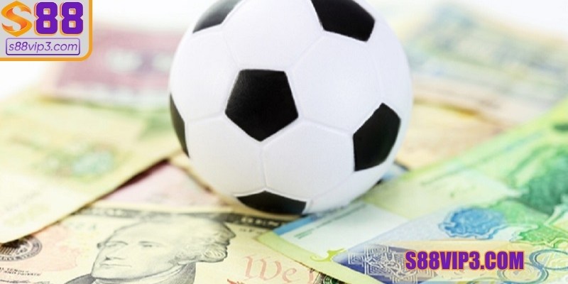 Giữ lập trường riêng, phân tích kỹ thay vì theo xu hướng đại chúng